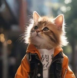 Meet your Posher, Zaki